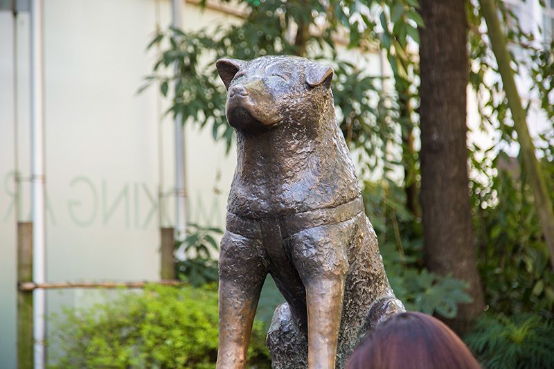Пам'ятник вірному псові Хатіко біля станції Сібуя - популярне місце зустрічей і фотографування
