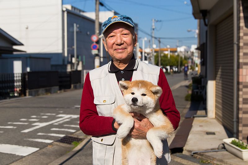 Накагава Дзітаро тримав різних собак, і впевнений, що акіта - кращі