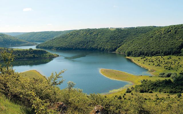 Бакота в Придністров'ї