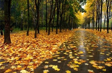 19 вересня 2016, 15:30 Переглядів:   Синоптики розповіли, яку погоду чекати українцям