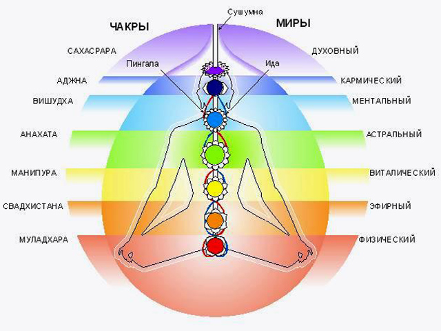 Місця перетину меридіанів прийнято називати чакрами, в чакри енергія закручується в вихори