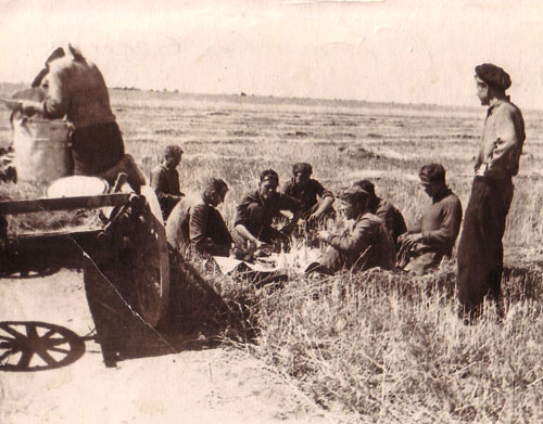 До початку освоєння цілинних і перелогових земель в Калманском районі налічувалося 15 колгоспів