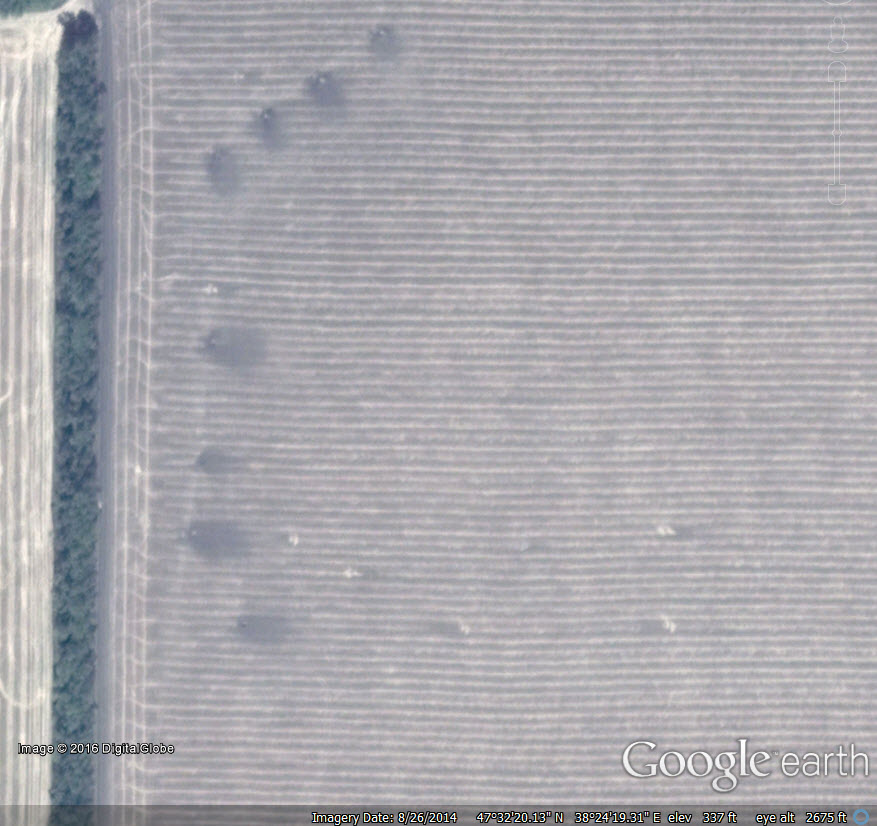 10: артилерійські позиції і військова техніка (у лісосмуги) в 1 кілометрі від українського кордону