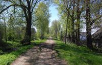 Аркадій ШУЛЬМАН