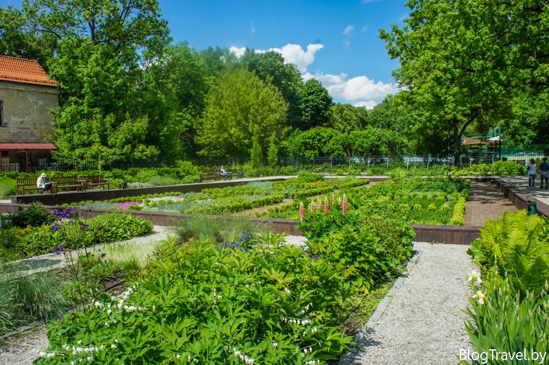 Тут можна неспішно прогулятися по вузьких доріжках, або посидіти на лавочках в тіні дерев