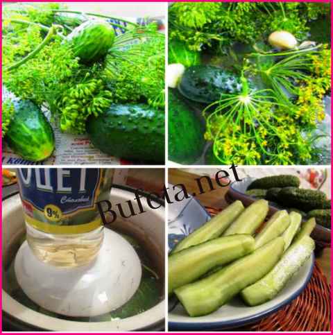 Рецепт малосольних огірків хрустких з холодною водою