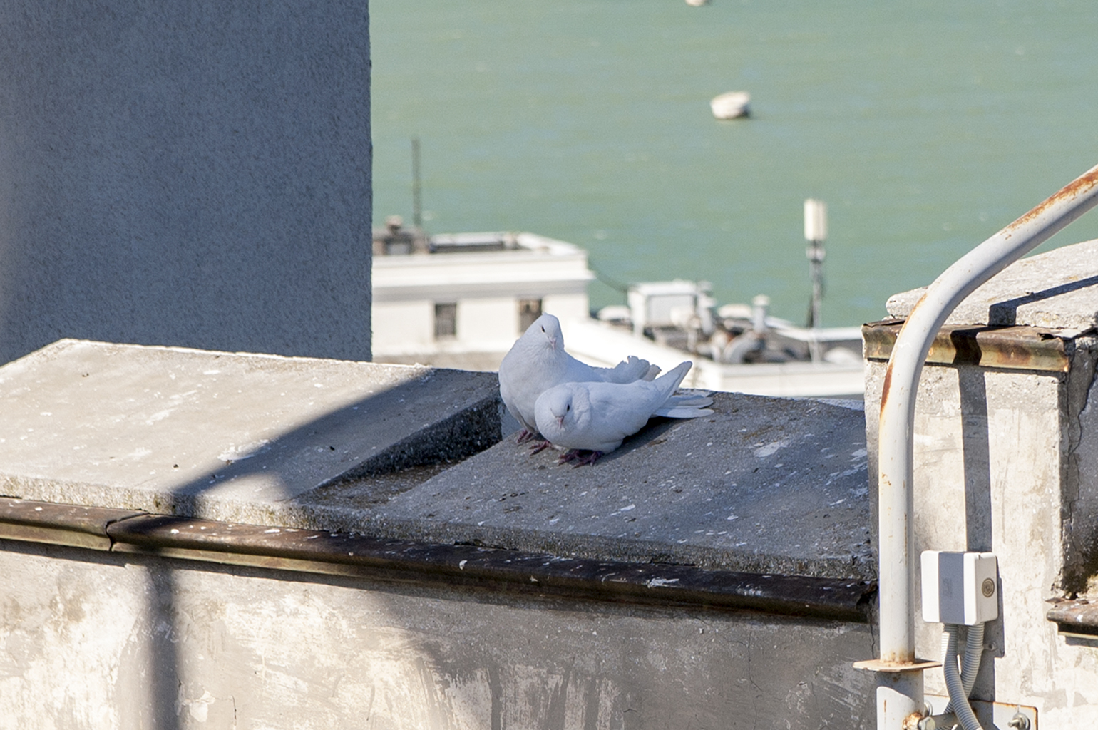 У них весна »