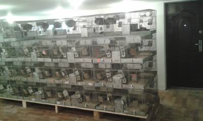 Так виглядає наша ферма (фото):