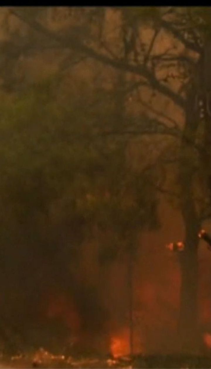 На боротьбу зі стихією відправили спеціальну техніку і десятки пожежних