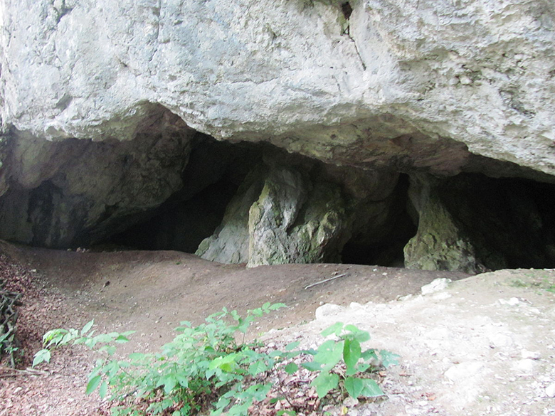 Для відвідування: вхід до печери вільний, проте вам знадобляться ліхтарик, краще налобний, і зручне спортивне взуття
