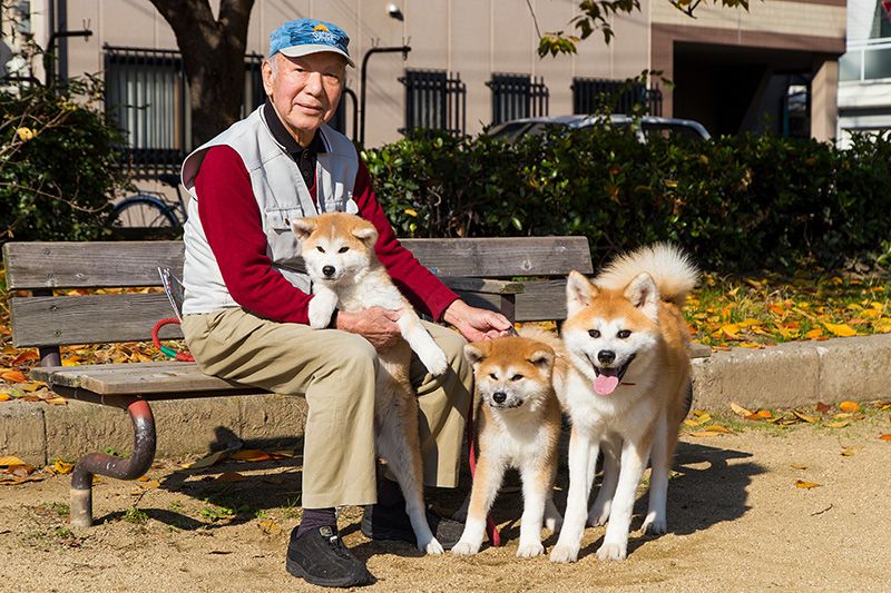 Накагава Дзітаро кожен день вранці і ввечері вигулює собак, і добре тримається, хоча йому вже за вісімдесят
