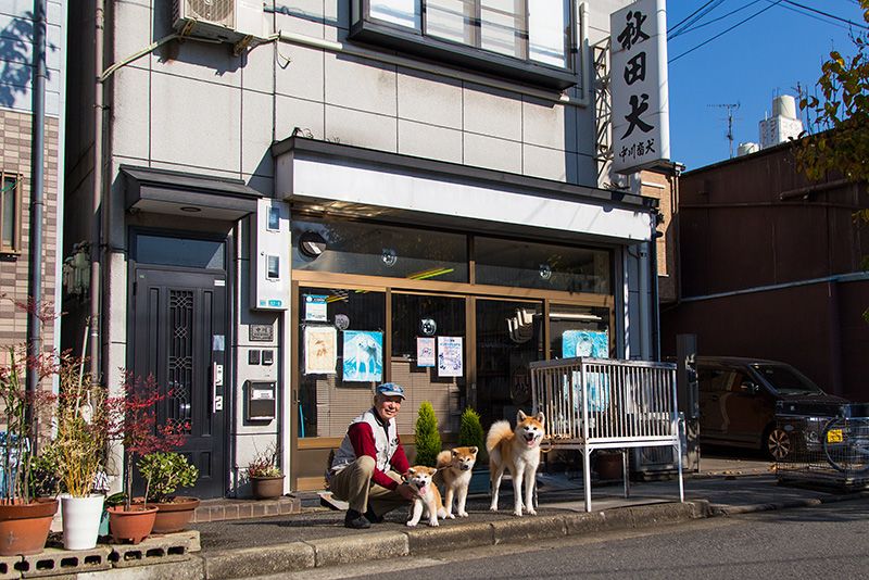 Накагава перед офісом «Накагава тікукентен» зі своїми собаками