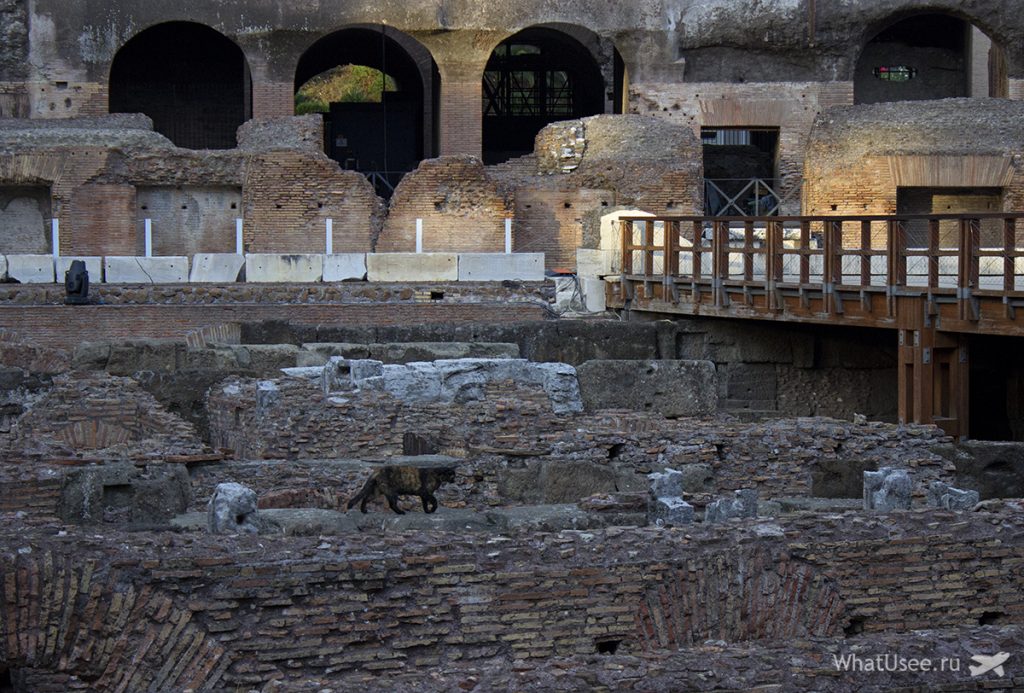 Підземний поверх (гіпогей) був завалений землею, і жителі Риму стали висаджувати там свої городи, а торговці - використовувати приміщення в якості складів