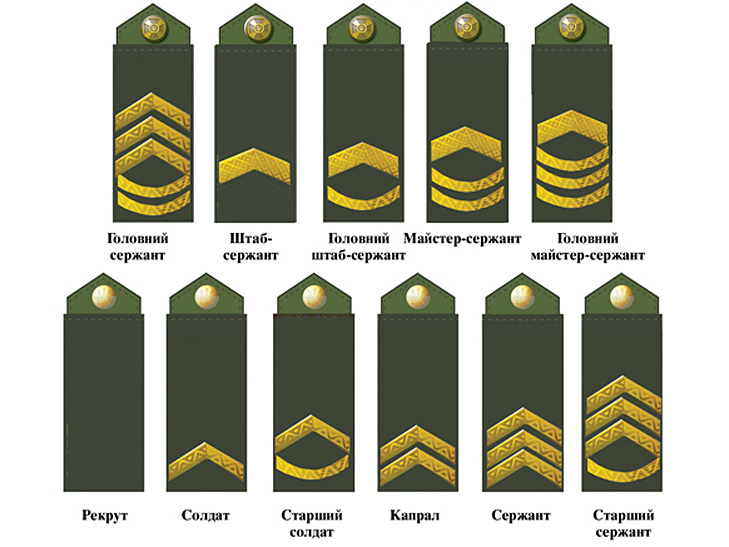 Так, за словами військових вже до кінця 2016 року будуть введені нові посади - головний сержант роти, головний старшина батальйону, головний старшина полку, головний старшина бригади
