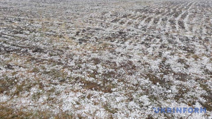 Як повідомили в Департаменті з питань надзвичайних ситуацій, буде створено спеціальну комісію, яка оцінить завдані стихією збитки