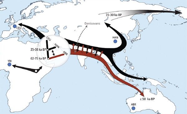 Схематичне зображення маршрутів міграцій перших сапієнсів і їх схрещування з денісовцамі