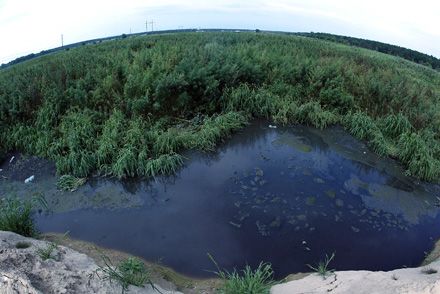 Ніякого збитку ні для сільських господарств, ні для населення нанесено не було