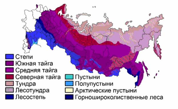 Якщо розглядати територію Росії з півночі на південь, тобто  по природних зонах, то географія сільського господарства виглядає наступним чином