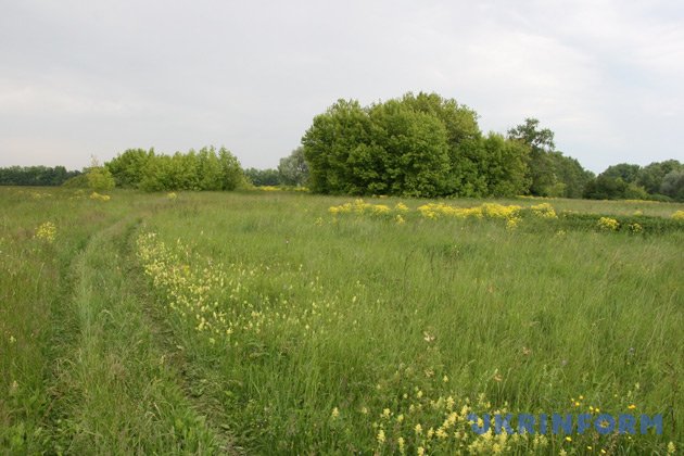 Здавалося б, такий райський куточок української землі немов магніт повинен притягувати до себе туристів, але, на жаль, зараз мандрівники не мають можливості побачити всю велич і самобутність природи Сумщини, адже в заповіднику Михайлівська цілина з'явилися проблеми, з якими місцеві науковці та екологи починають звертатися до влади всіляких рівнів