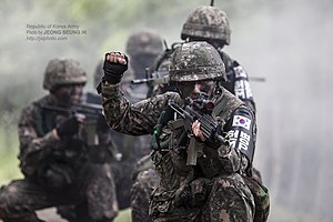 Перша бойова операція, в якій довелося брати участь молодий армії Південної Кореї, трапилася влітку 1948 року під час комуністичного повстання на острові Чеджудо