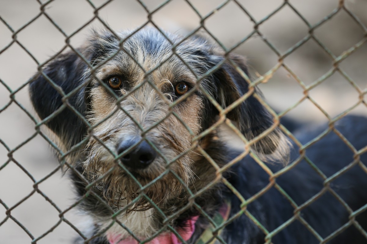 Також там зазначили, що група громадян напала на співробітників підприємства і його директора