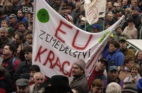 Протести перед міністерством сільського господарства (Фото: ЧТК)   - Пояснили один одному думки сторін