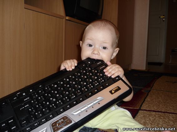 Даний приклад ілюструє людські інстинкти