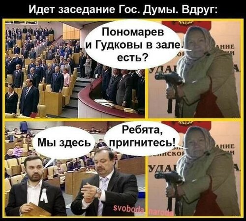 Шахраї та злодії хочуть витравити з Держдуми останніх людей відкрито-оппозціонних поглядів
